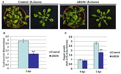 Induced Systemic Resistance against Botrytis cinerea by Bacillus cereus AR156 through a JA/ET- and NPR1-Dependent Signaling Pathway and Activates PAMP-Triggered Immunity in Arabidopsis